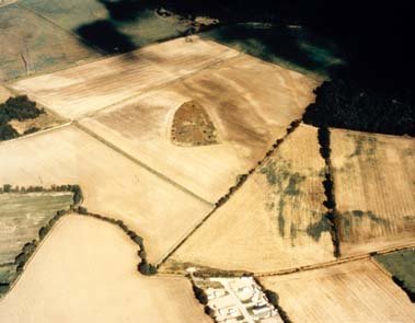 Sutton Common air photo