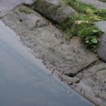 Mickley Riverworks Mickley Weird