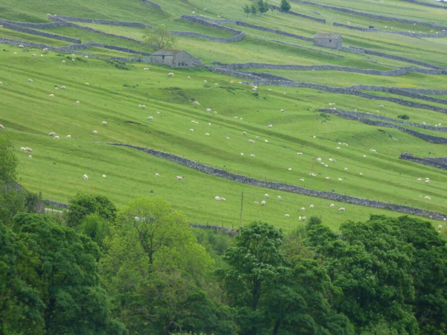 Field systems and earthworks at Grassington