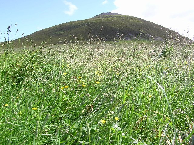 Tap o' Noth - geograph.org.uk - 93164