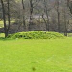Mound in Bridge Barn Field, close to Nathwaite Bridge, Coverdale