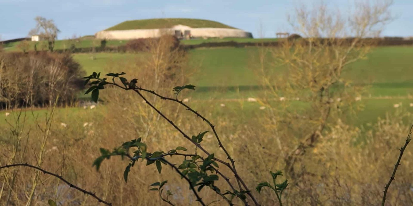 Newgrange