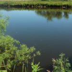 River Ure southwest of Nunwick