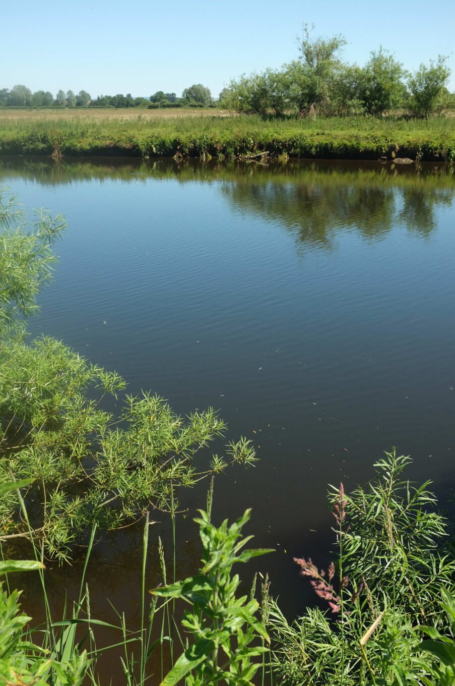 River Ure southwest of Nunwick