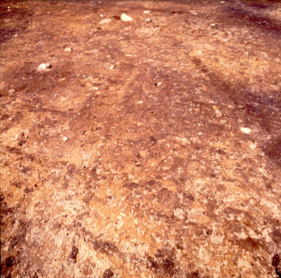 Flintbek LA 3 - Plough Marks