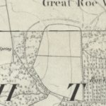 Great Roe Wood - Sheffield - OS Series 1