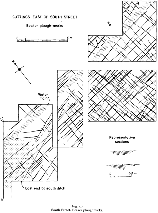 South Street Long cross ploughing - Ashbee et al