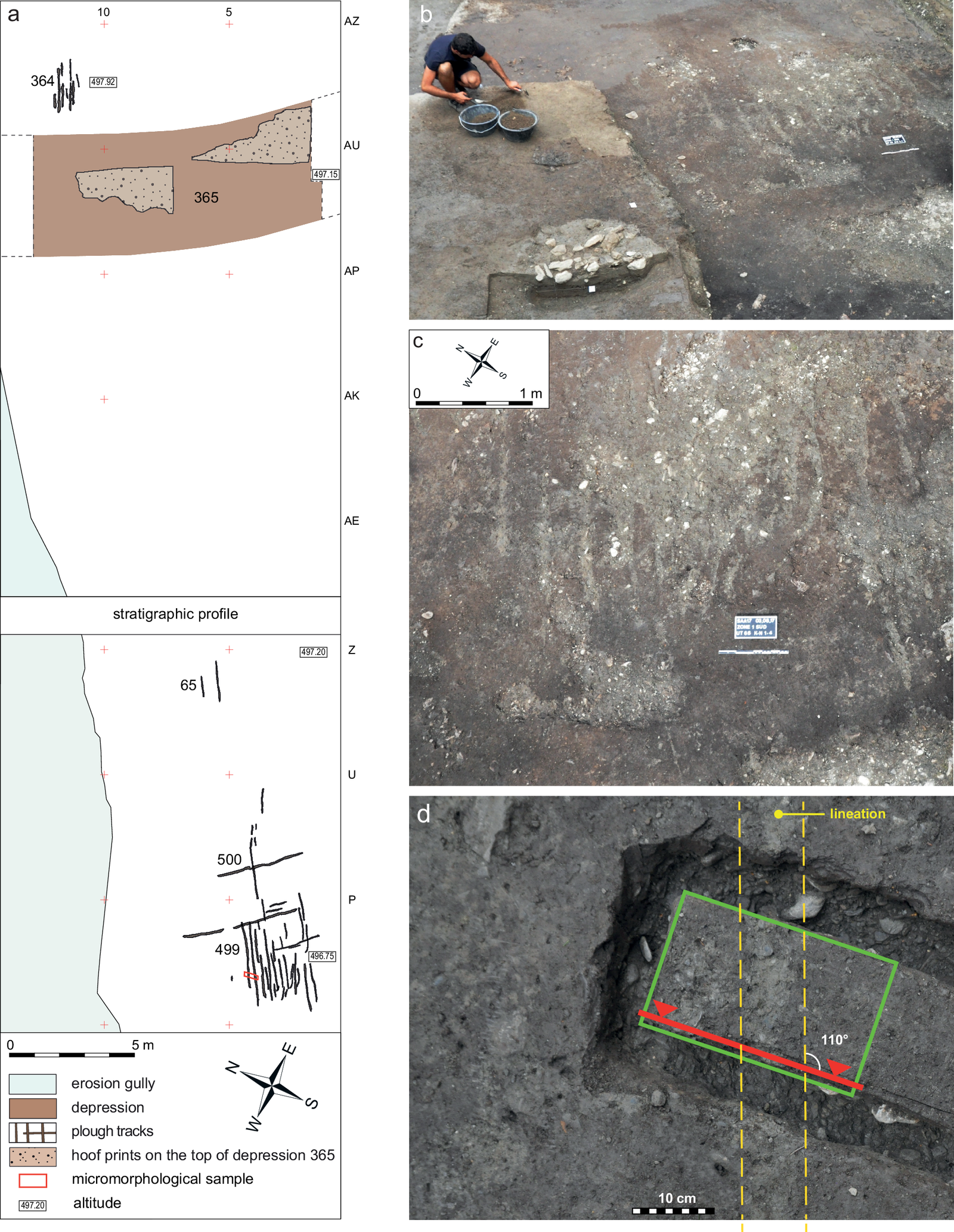 The ploughmarks groups 364 65,500 and 499 at the Anciens Arsenaux excavations