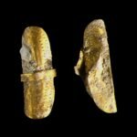 Amesbury Archer - gold hair ornaments