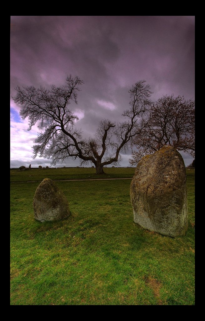 Scary tree near Long Meg