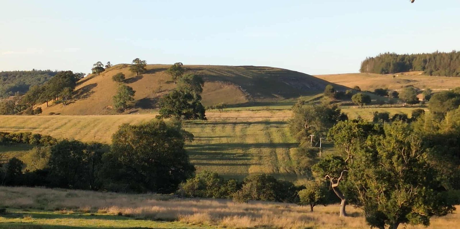 How Hill Fort - Downholme