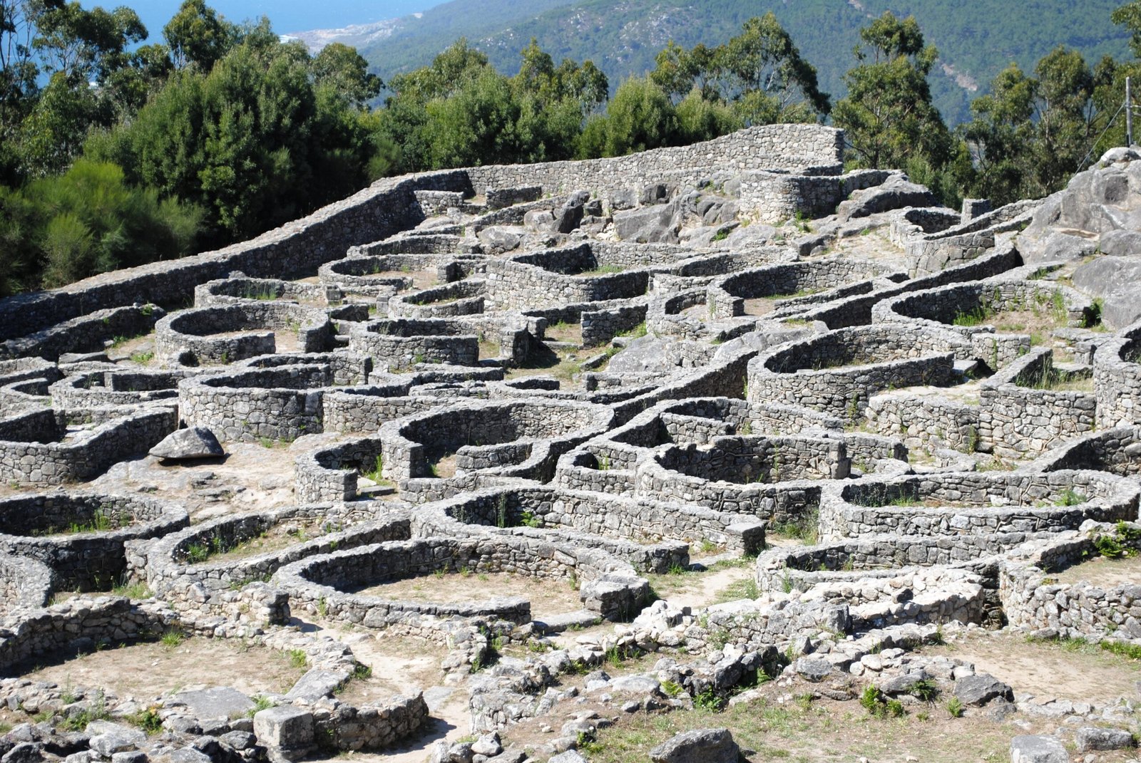 Castro de Santa Trega, 2011