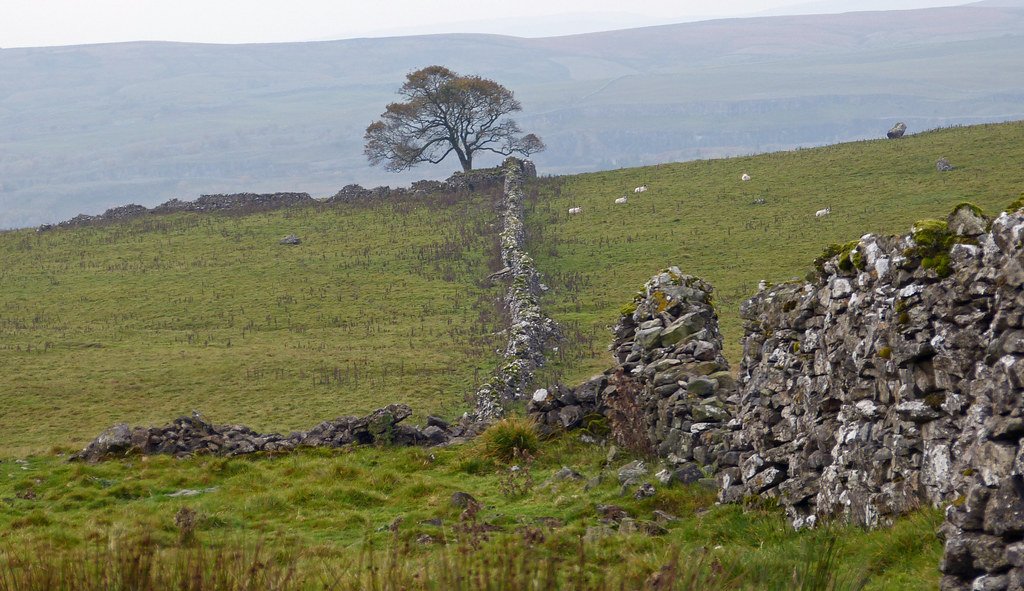 Dales Wall
