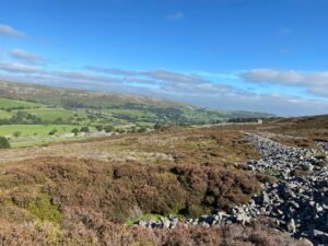 With kind permission of YAAMAPPING