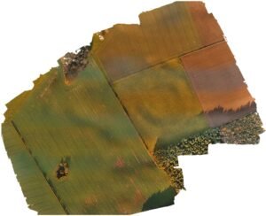 With kind permission of YAAMAPPING