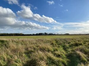 An image illustrating an article about Thornborough Henges on thealicesyndrome.com