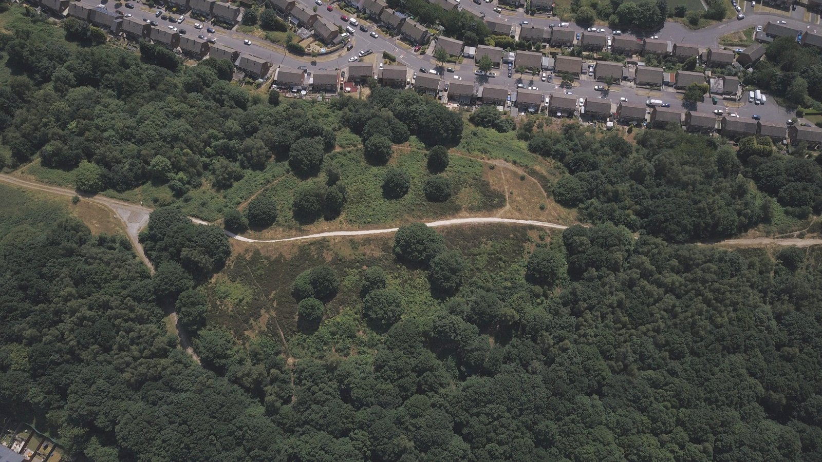 An image illustrating an article about Wincoband Hill Fort on thealicesyndrome.com