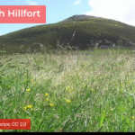 Tap O Noth – Thanks to Steve Reid 