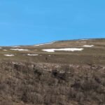 473180170_978795797438135_180913730836773580_n 