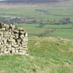Flatts Hill Mound – Carlton-in-Coverdale – view from road 3 