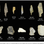 Screenshot 2025-05-17 175009 