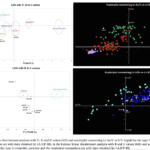 Screenshot 2025-05-17 175250 