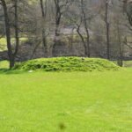 Mound in Bridge Barn Field 