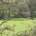 Mound in Bridge Barn Field 3 