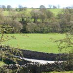 Mound in Bridge Barn Field 4 