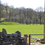 Mound in Bridge Barn Field 6 